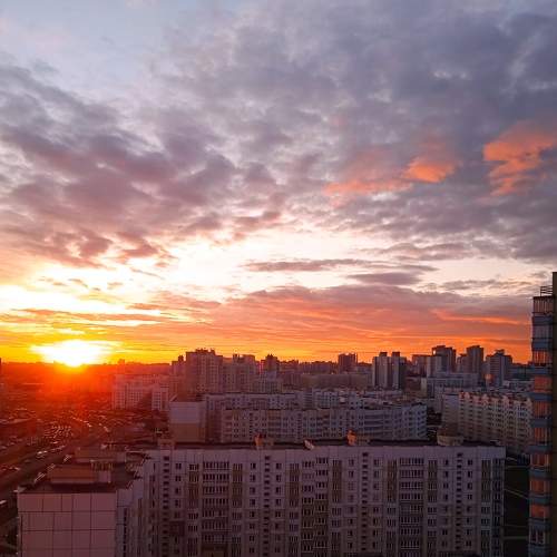 Photo #9044913