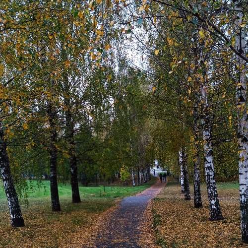 Photo #9045012