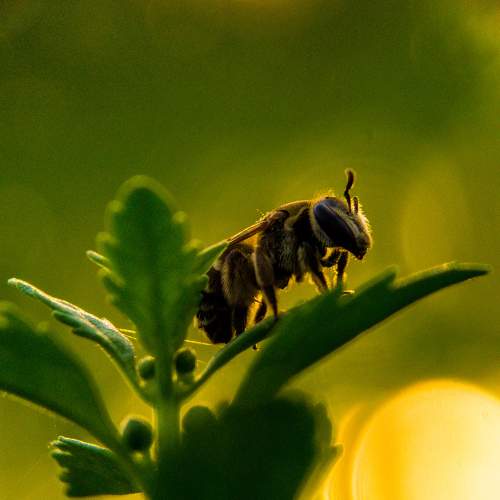 Photo #9045140