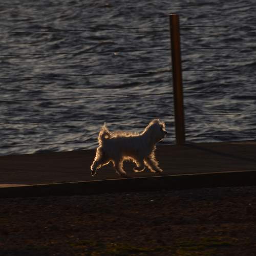 Photo #9045345