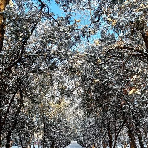 Photo #9045448