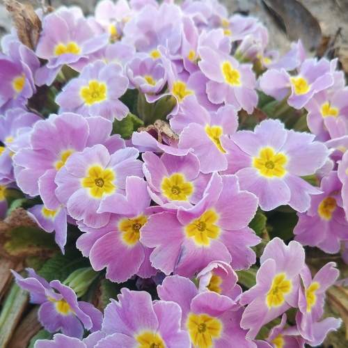Photo #9045451