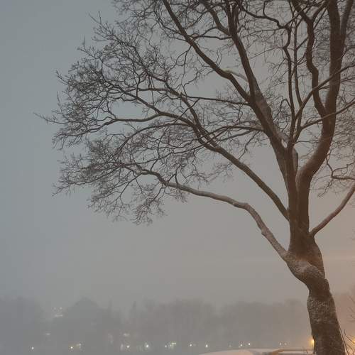 Photo #9045471