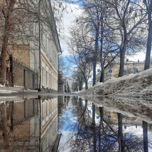 Photo #9045497