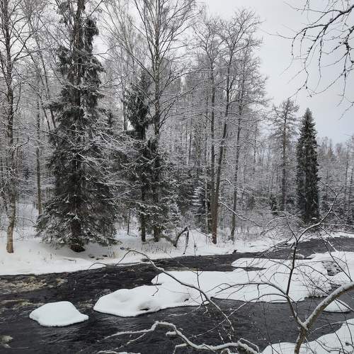 Photo #9045547