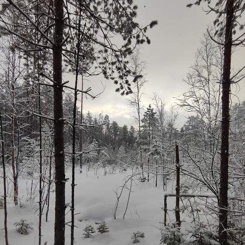 Photo #9045585