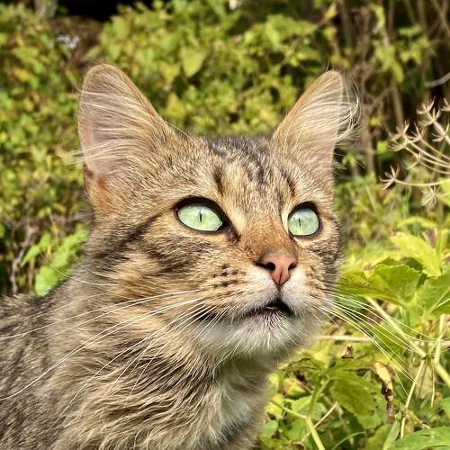 Photo #9045623