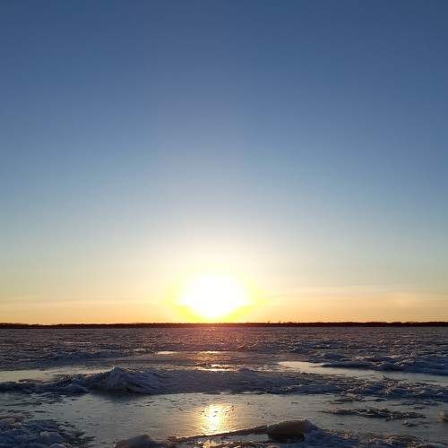 Photo #9045940