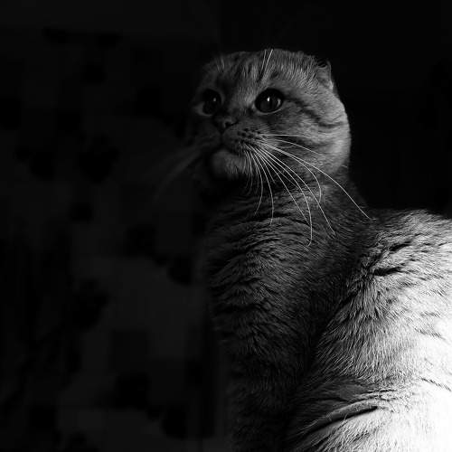 Photo #9045953