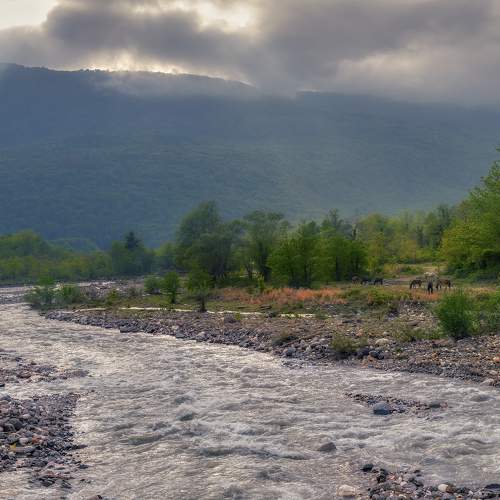 Photo #9046305