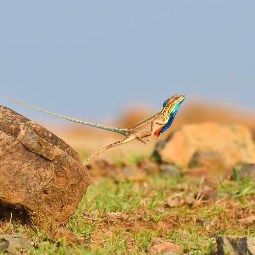 Photo #9046324