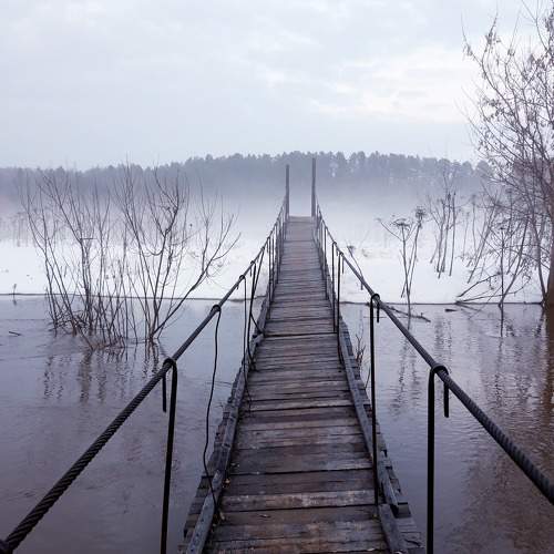 Photo #9046390