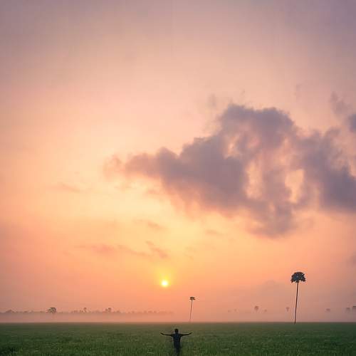 Photo #9046444
