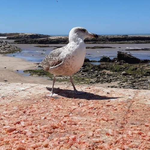 Photo #9047150
