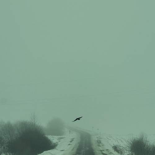 Photo #9047687