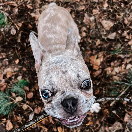 Photo #9047728