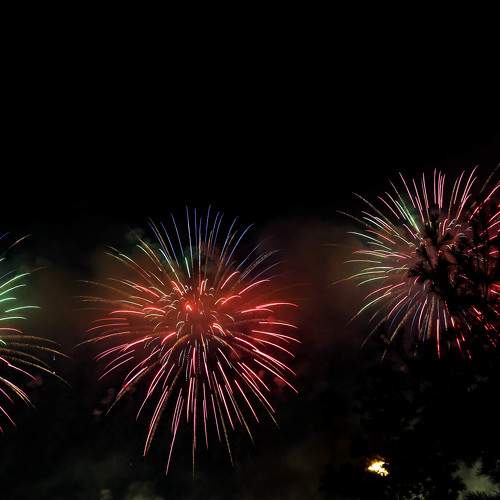 Photo #9047748