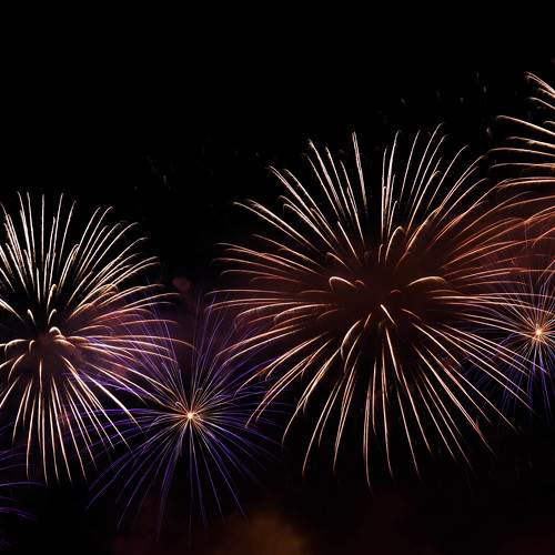 Photo #9047749