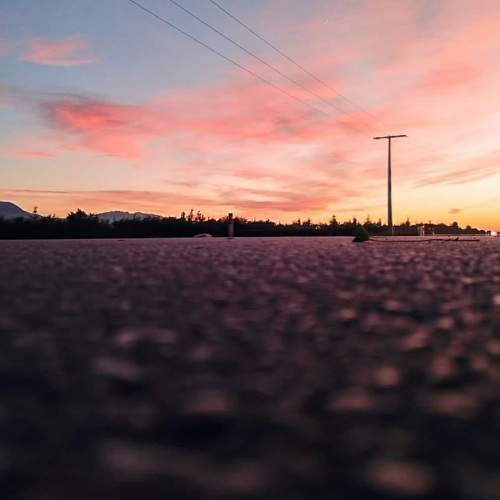 Photo #9047755