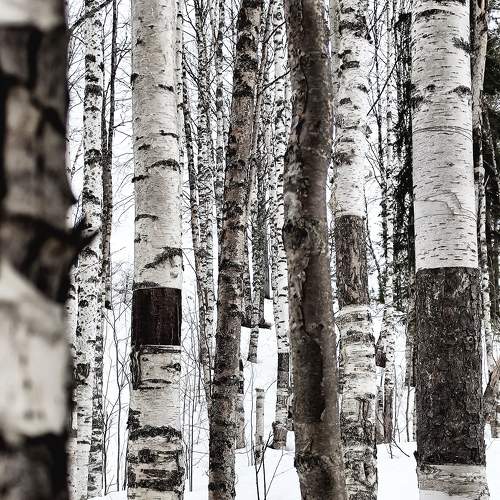 Photo #9047860
