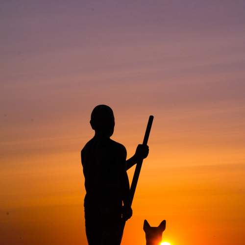Photo #9047916