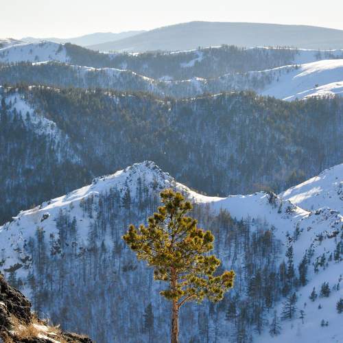 Photo #9048006