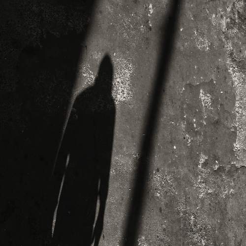 Photo #9048093