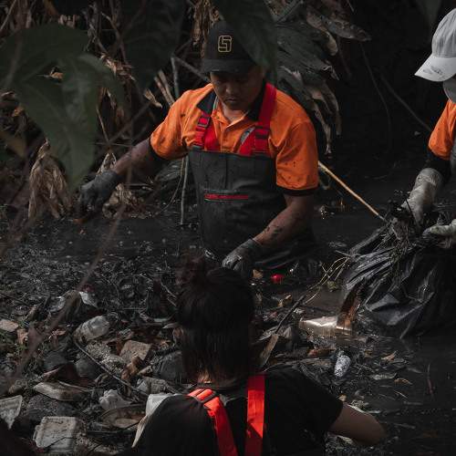 Photo #9048274