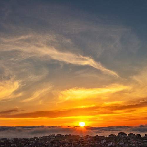 Photo #9048382