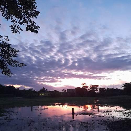Photo #9048556
