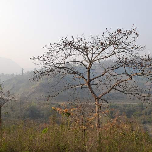 Photo #9048557