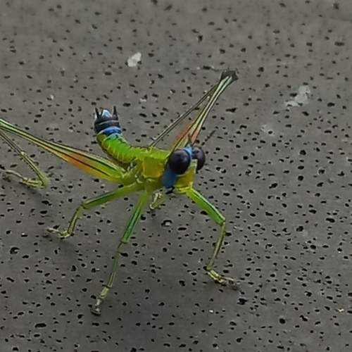 ¡Extraterrestre!