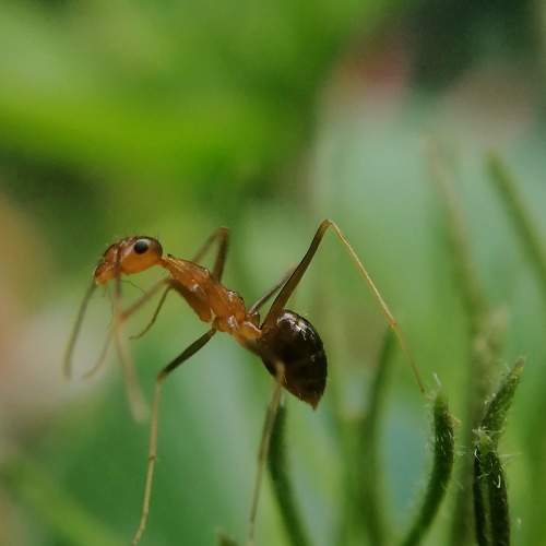 Photo #9048719