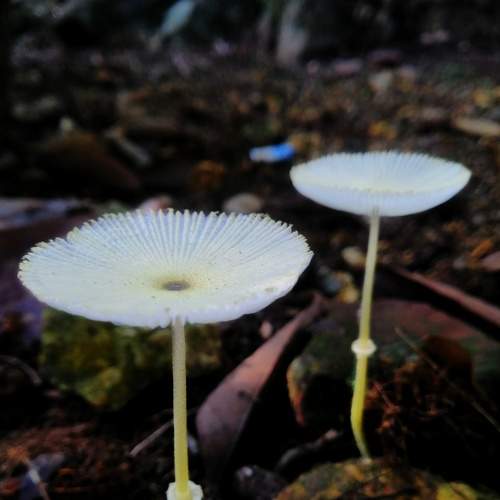 Photo #9048722