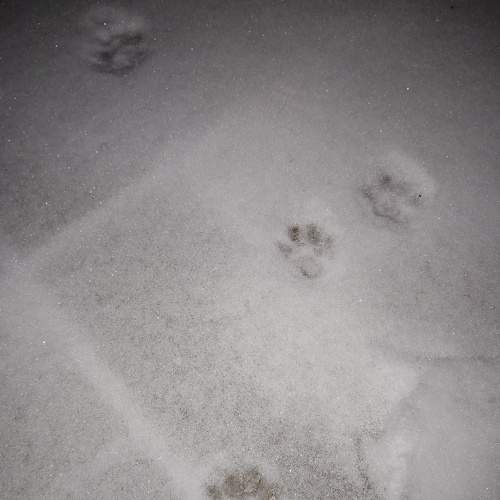 Photo #9048826
