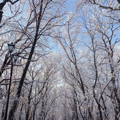 Photo #9048828