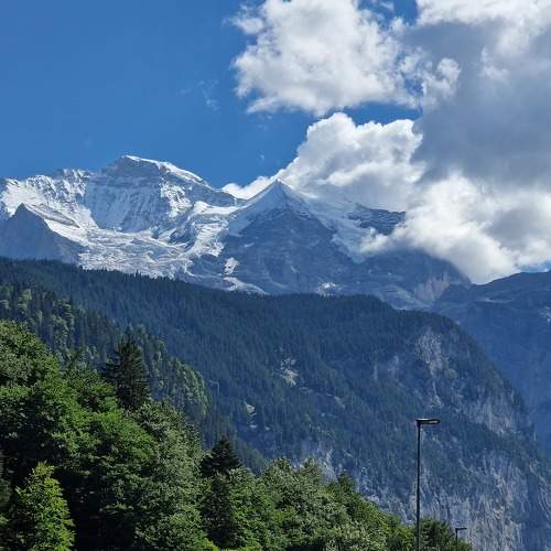 Photo #9048901