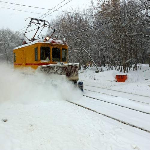 Photo #9048937
