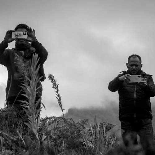 Taking your picture