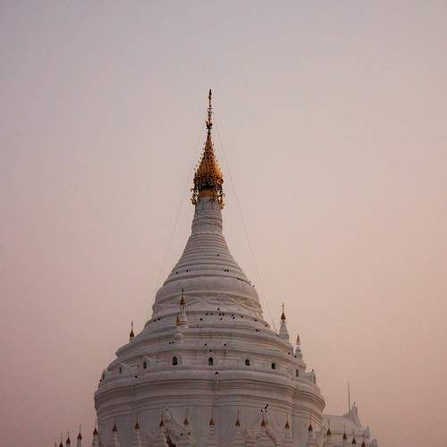 Photo #9049695