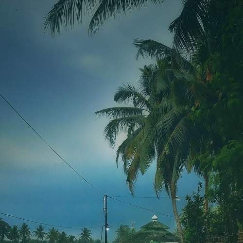 Photo #9049743