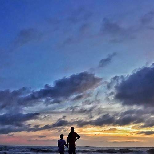 Photo #9049753