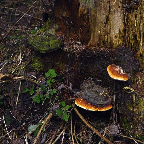 Photo #9049803