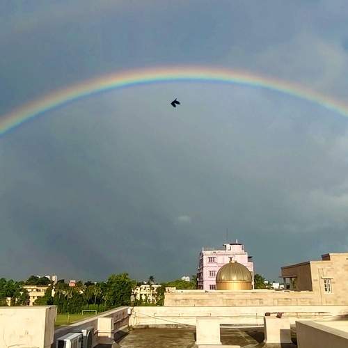 Photo #9050199