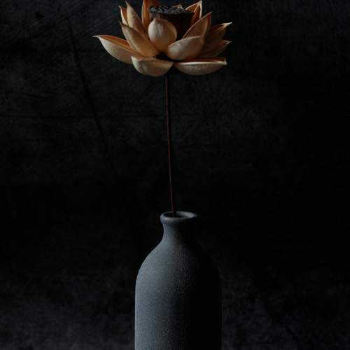 Photo #9050253