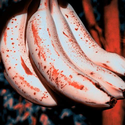 blood mutant bananas
