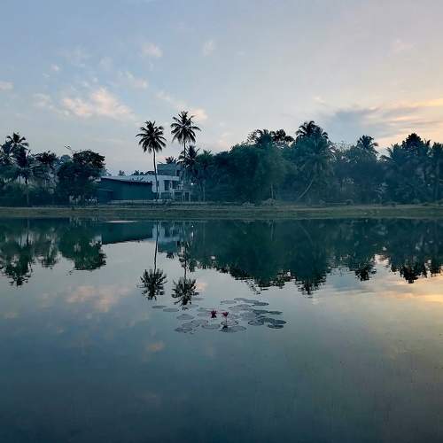 Photo #9050670