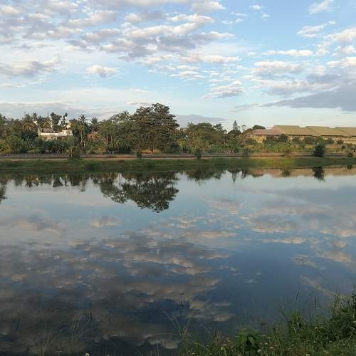 Photo #9050674