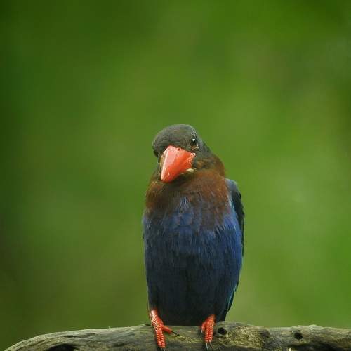 Photo #9051117