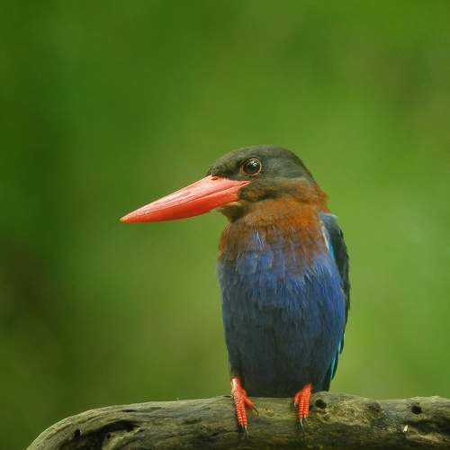 Photo #9051123